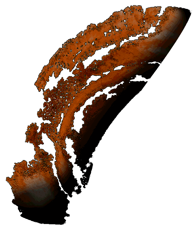 wwbgnoblackhokusai1a